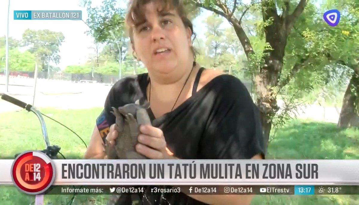 Fav si sabés quién es 😍