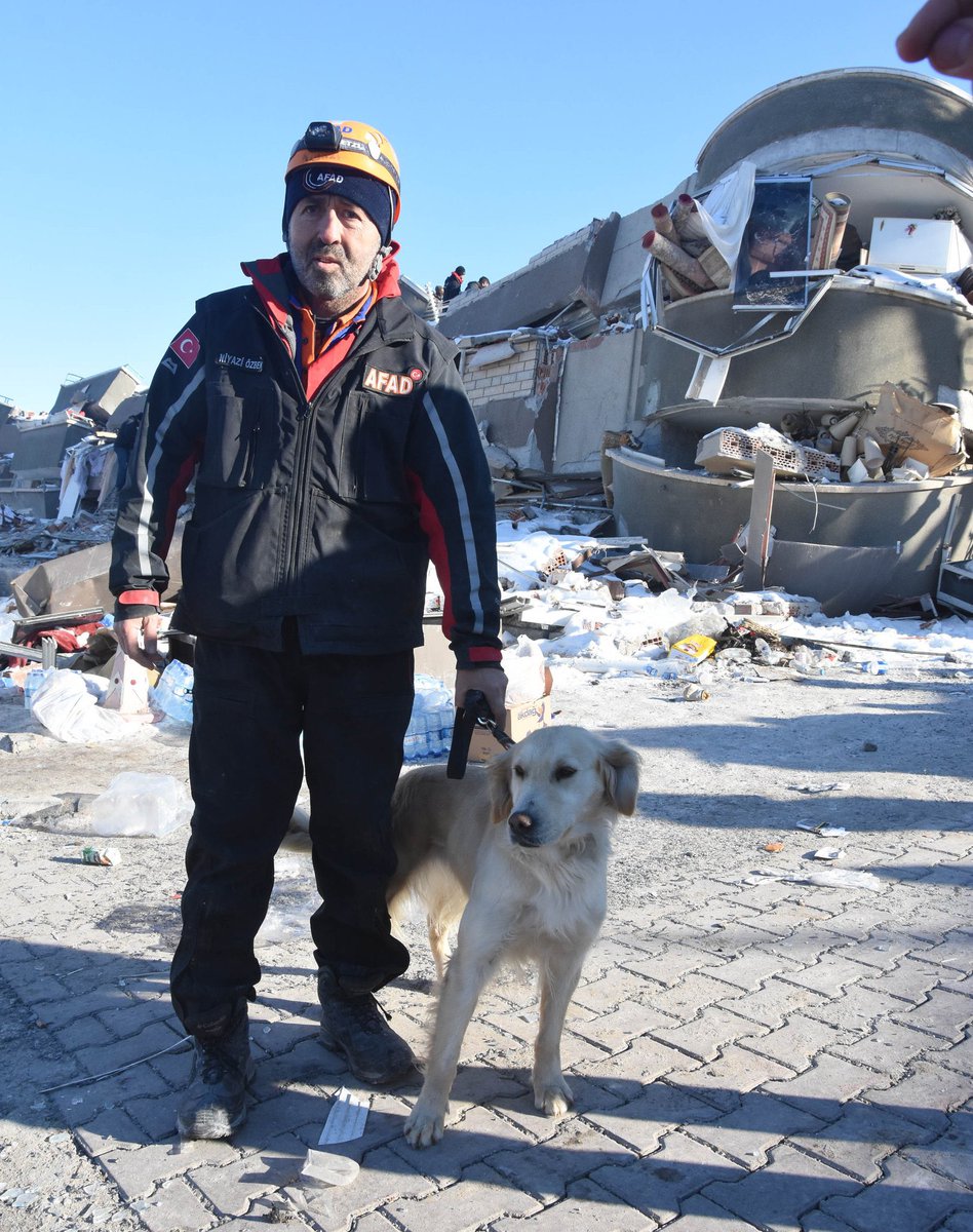 Köpük' isimli arama kurtarma köpeği, çalıştığı enkazda 6 kişinin kurtarılmasına yardımcı oldu.