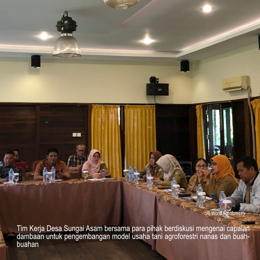 kapital_natural's tweet image. Minggu lalu di Kabupaten Kubu Raya, ICRAF &amp;amp; YNKI menyelenggarakan lokakarya multipihak “Pengembangan Peta Jalan untuk Implementasi Model Bisnis dengan Menggunakan Kerangka Outcome Mapping” yang dihadiri oleh dinas pemerintah terkait, perwakilan desa, LSM, pihak swasta, &amp;amp; lainnya.