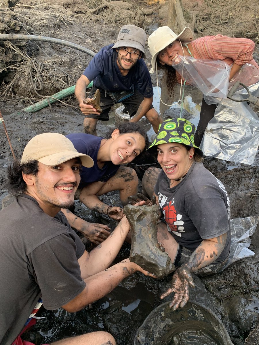 arroyovizcaino's tweet photo. Caras de felicidad. Primera colecta de fósiles por el equipo de la escuela de sitio. Seguimos en el campo, seguimos maravillándonos, después de más de 10 años, de lo increíble que es el sitio Arroyo del Vizcaíno.

📷 @sebatambusso https://t.co/9oPZ0lns8Y