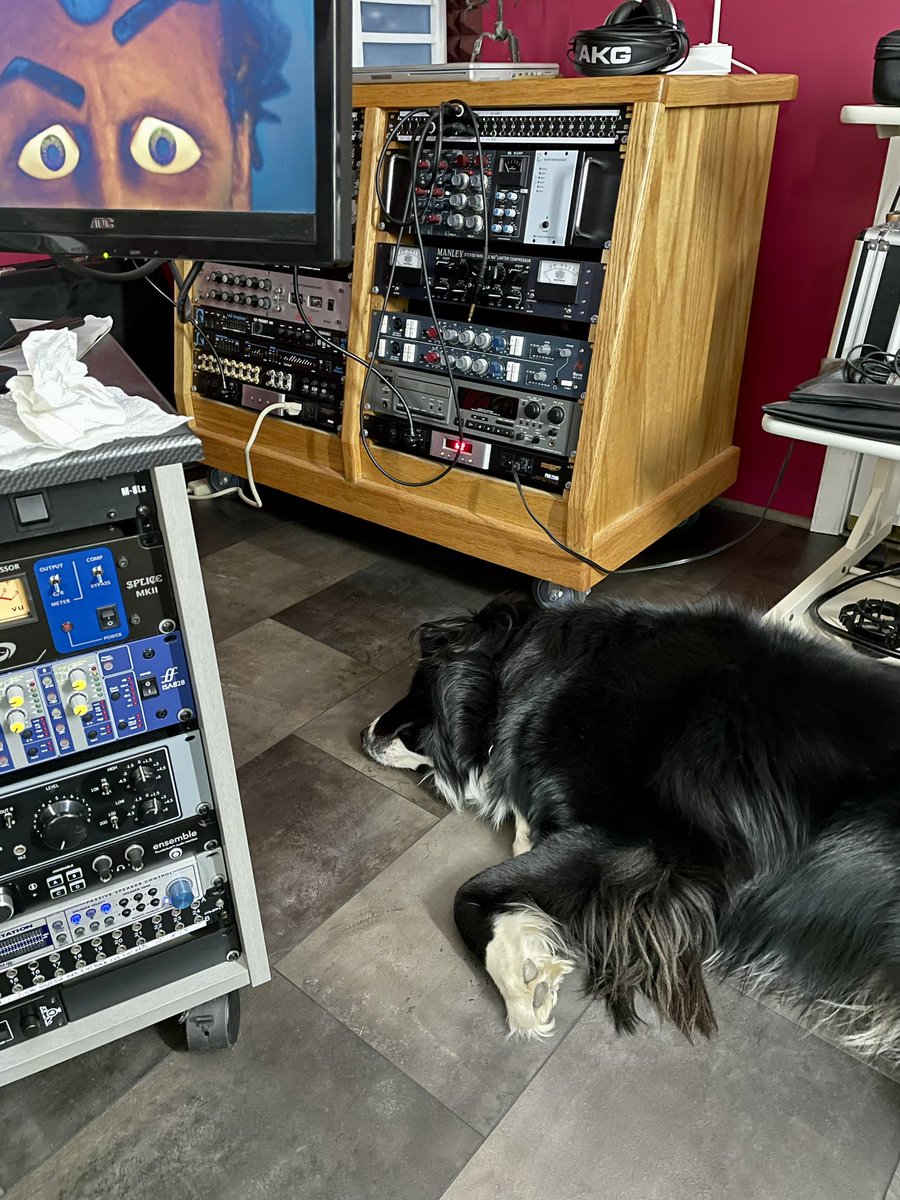 mindthegap's tweet photo. Whatta slacker on the job…it’s hard to find good help these days #atticusfetch #dogoftheday #slacker #assistantengineer #recordingstudio https://t.co/RetwROhbxq
