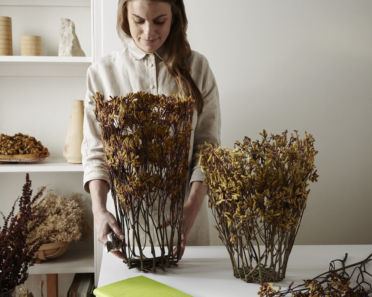 canalacultura's tweet photo. Flores que sostienen otras #flores en las #esculturas #botánicas funcionales de la artista #ShannonClegg, quien se vale de flores #secas y #prensadas, para construir #jarrones #ornamentales.

Una combinación entre #sastrería, #artesanía y #diseño, en diseños #biofílicos+#Bouquet https://t.co/pQkbreXxjn