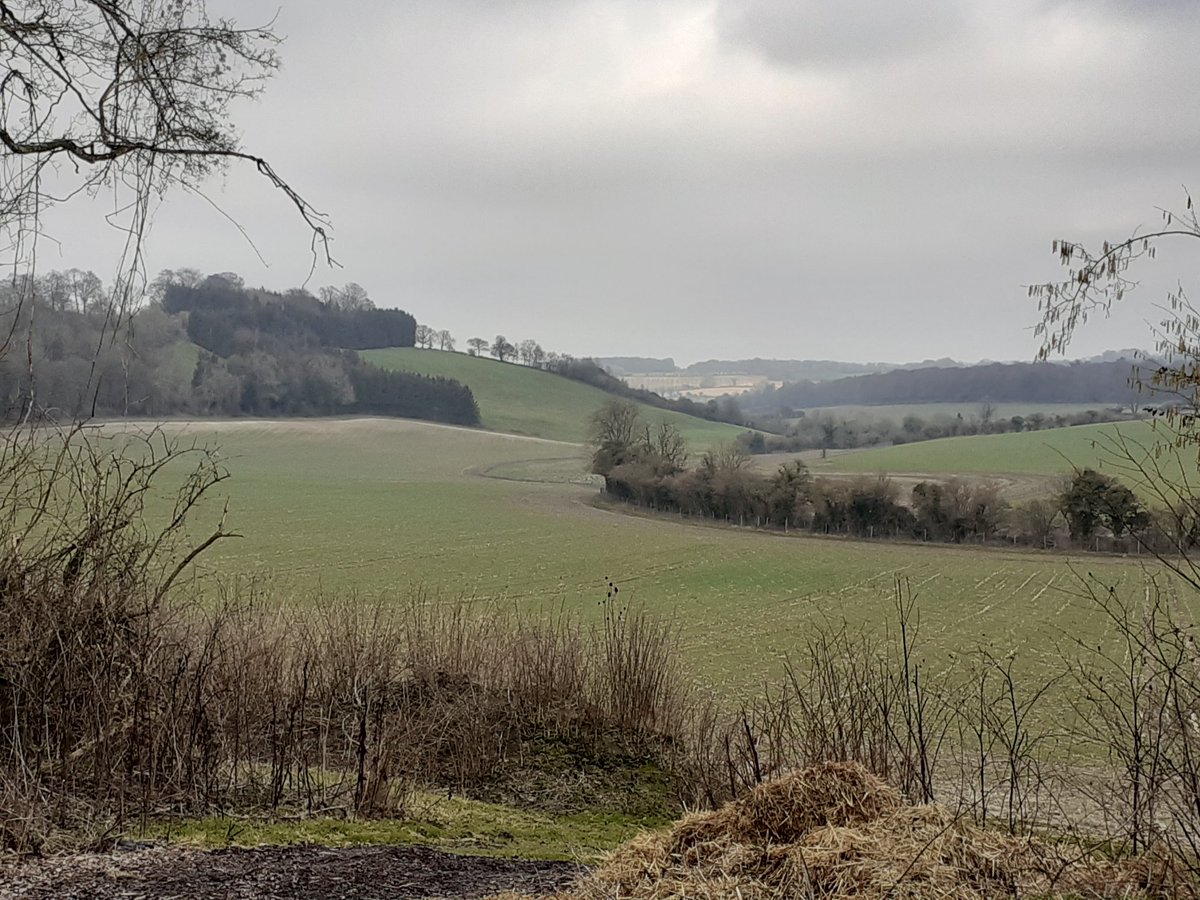 Janetalkstrees's tweet image. Great to have an inspiring team technical training day in the heart of the South Downs - making conversations count, exploring how trees fit into diversified farm businesses, including wet woodland  for nutrient neutrality.