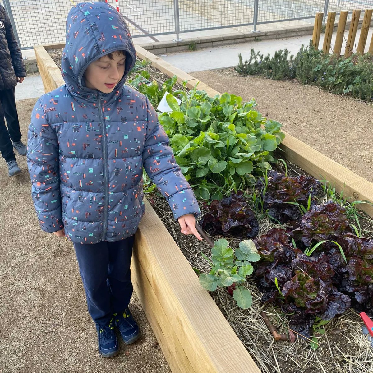 Escola Roser Capdevila tweet media