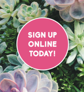 KITCHENER GARDEN CENTRE EXCLUSIVE VALENTINE'S EVENT!  Create a succulent dish garden to tell your Valentine what makes them special. In this workshop, we’ll help you create a truly unique gift, made with love by you!  Sign up online today!  ow.ly/uhJn50MOqbr