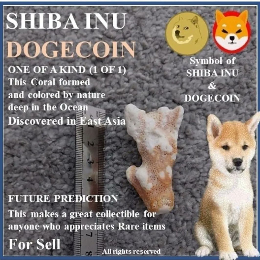 oneofakindever's tweet photo. RARE - ONE OF A KIND - 1 of 1  NATURAL CORAL- Symbol of -SHIBA - DOGECOIN - Discovered in East Asia,  This makes a great collectible for anyone who appreciates Rare items
Up for Bid.
Tradable with Crypto Coins &amp; Fiat
Message for more details 
#shibainu #shiba #shibalove #Cryptos https://t.co/kgpc28aaVL