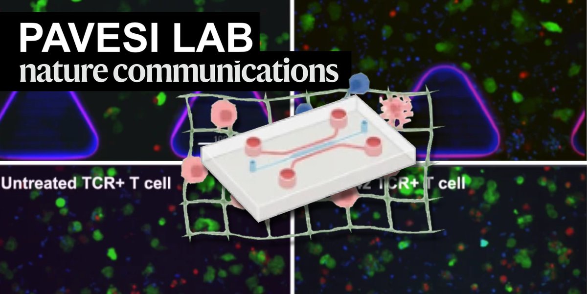 AIM Biotech (@aimbiotech) on Twitter photo Check out this pub in <a href="/NatureComms/">Nature Communications</a> from <a href="/PavesiLab/">PavesiLab</a>, which includes a 3D cytotoxicity assay based on our idenTx platform. The results suggest a way to boost efficacy of TCR or CAR-based cancer treatment, possibly reducing need for multiple treatment rounds.
nature.com/articles/s4146… Check out this pub in <a href="/NatureComms/">Nature Communications</a> from <a href="/PavesiLab/">PavesiLab</a>, which includes a 3D cytotoxicity assay based on our idenTx platform. The results suggest a way to boost efficacy of TCR or CAR-based cancer treatment, possibly reducing need for multiple treatment rounds.
nature.com/articles/s4146…