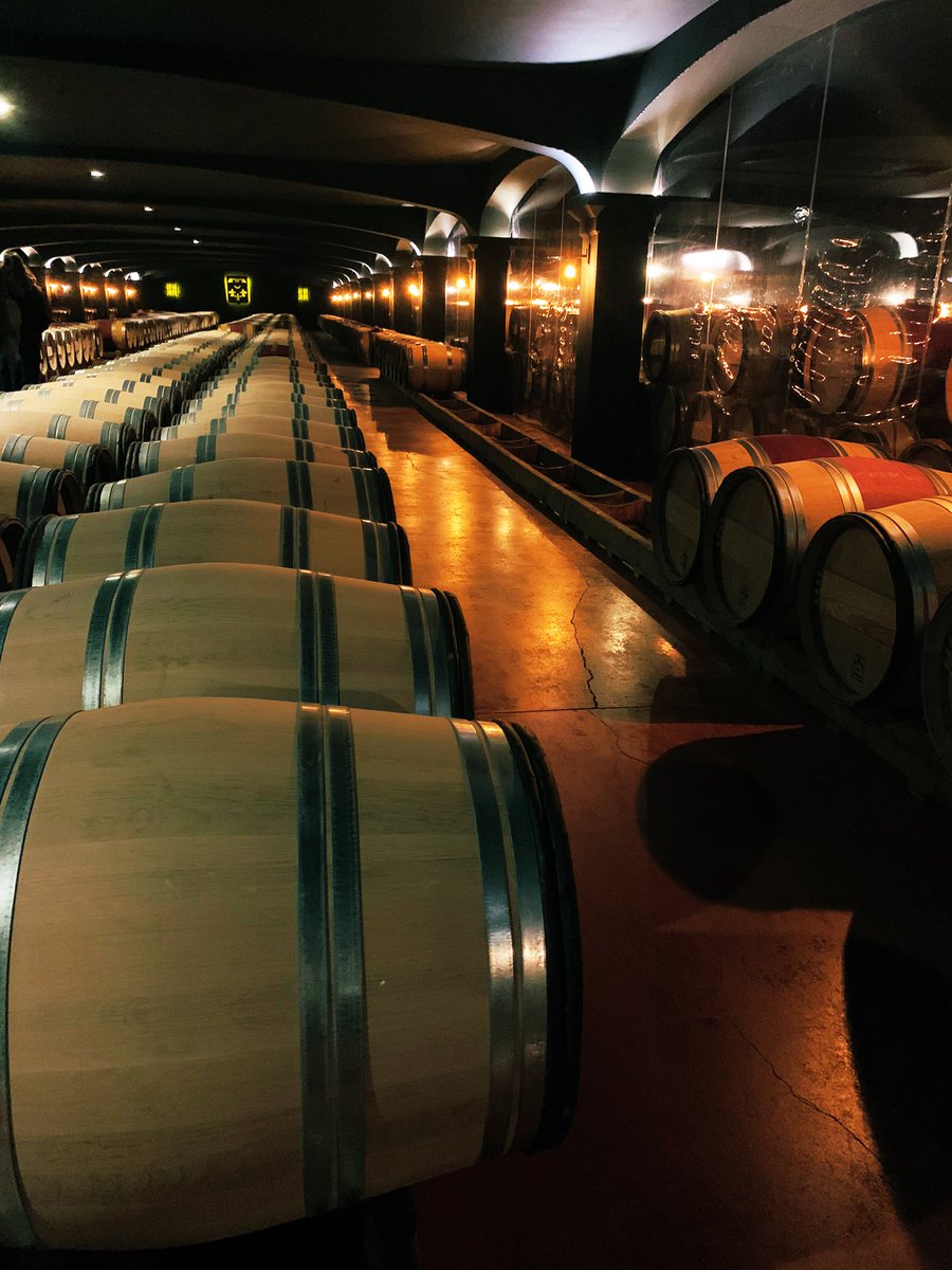 Agathe Lairy (@agathelairy) on Twitter photo Today, 1st field trip for <a href="/WintourMaster/">WINTOUR Master</a> 7.0 to Château Smith Haut Lafitte <a href="/ChateauSHL/">Smith Haut Lafitte</a>
Thank you very much for opening your doors to us!
<a href="/isvv_bordeaux/">ISVV - Institut des Sciences de la Vigne et du Vin</a> <a href="/univbordeaux/">Université de Bordeaux</a> <a href="/ErasmusplusFR/">Agence Erasmus+ France / Education Formation</a> Today, 1st field trip for <a href="/WintourMaster/">WINTOUR Master</a> 7.0 to Château Smith Haut Lafitte <a href="/ChateauSHL/">Smith Haut Lafitte</a>
Thank you very much for opening your doors to us!
<a href="/isvv_bordeaux/">ISVV - Institut des Sciences de la Vigne et du Vin</a> <a href="/univbordeaux/">Université de Bordeaux</a> <a href="/ErasmusplusFR/">Agence Erasmus+ France / Education Formation</a>
