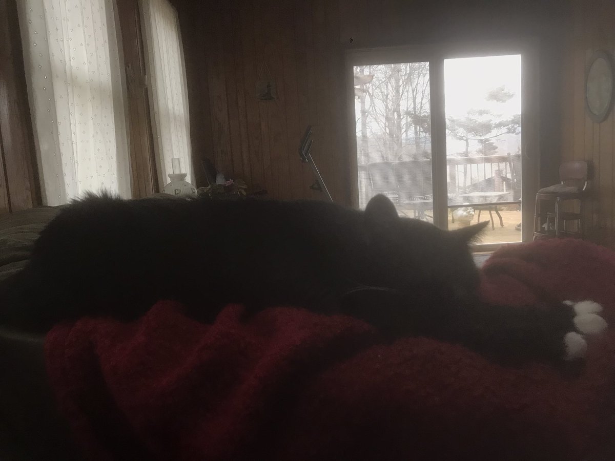 He loves it when I work from home!