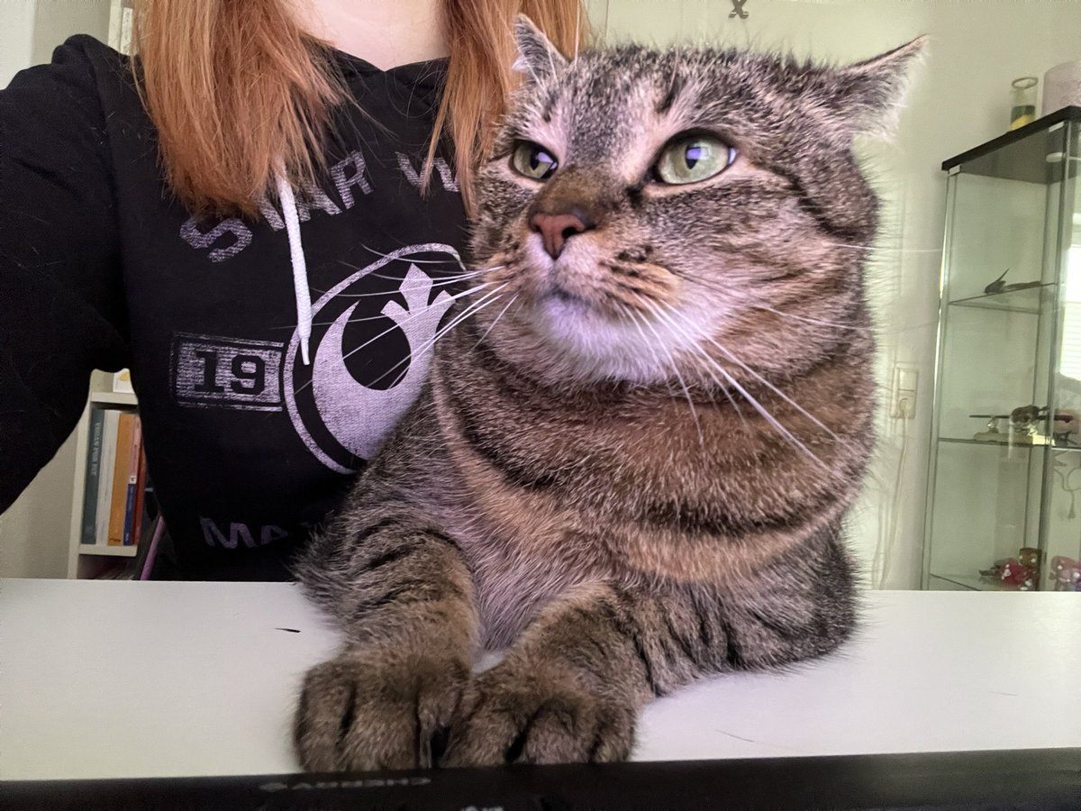 Liebe diese beiden flauschis so krass. Danke für eure Aufmerksamkeit