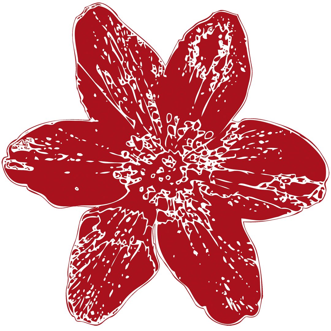 New Indie music on the way!
From the depths of our souls to the blooming of our birth Anemone Troy launch new music 24th March 2023

#NewMusic2023