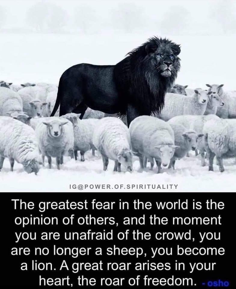 ✨Lyss✨ (@felyss1ty) on Twitter photo 