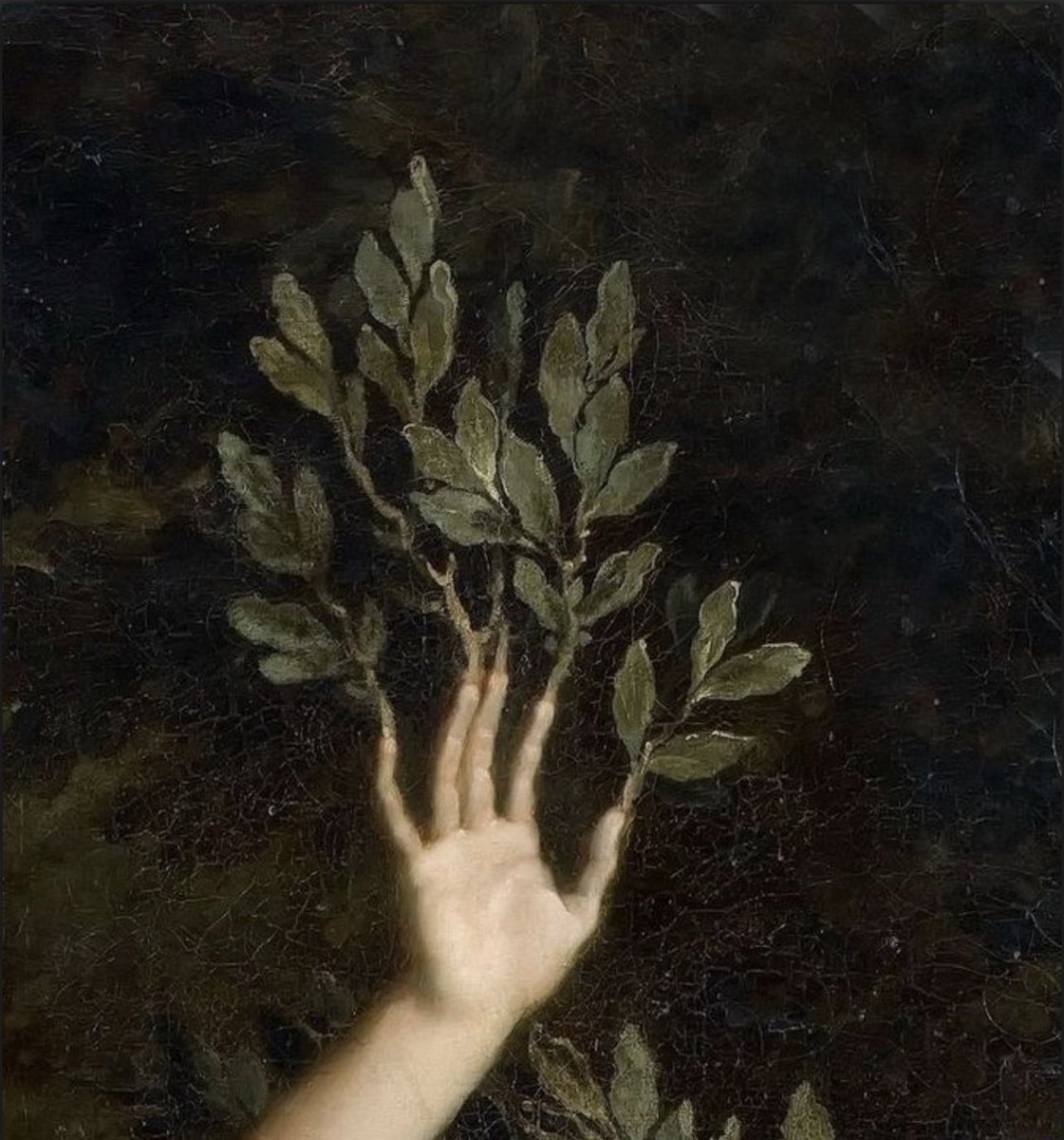 redfawnherbal's tweet image. The bath salts are here and they’ve got us like 👀➡️🌲🌹🌬️🌨️🛁🌼🧖🏾‍♂️

🌲”Wintering” is taking us to a snowy forest of pine and willow and lifting our mood 💛

🌛🥀”Dream Time” hydrates your skin and prepares you to drift into the deep rest.

#bathsalt #herbal #organic #sustainable