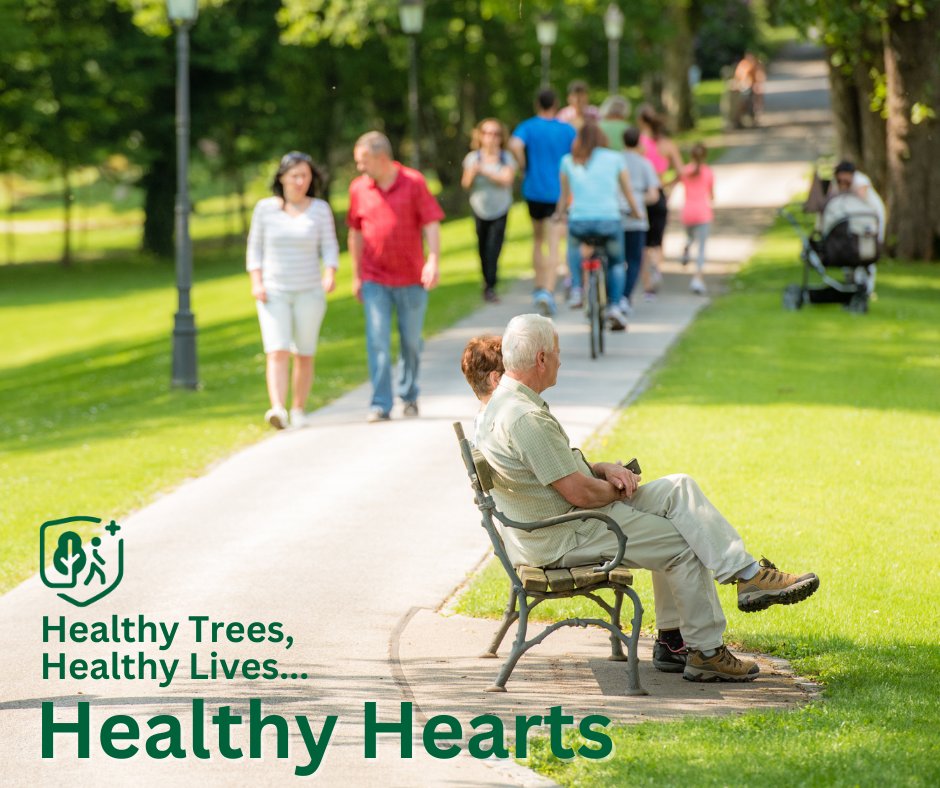 It's #HeartHealthMonth! DYK... An aesthetically pleasing natural environment within a neighborhood promotes physical activity and is negatively associated with coronary heart disease and stroke. #HealthyTreesHealthyLives #SouthernForests #UrbanForestry 
bit.ly/3jMtEeY