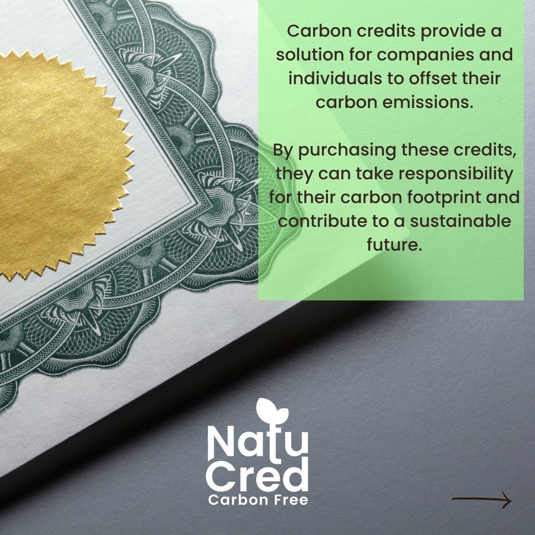 NatuCred - Carbon Free tweet media