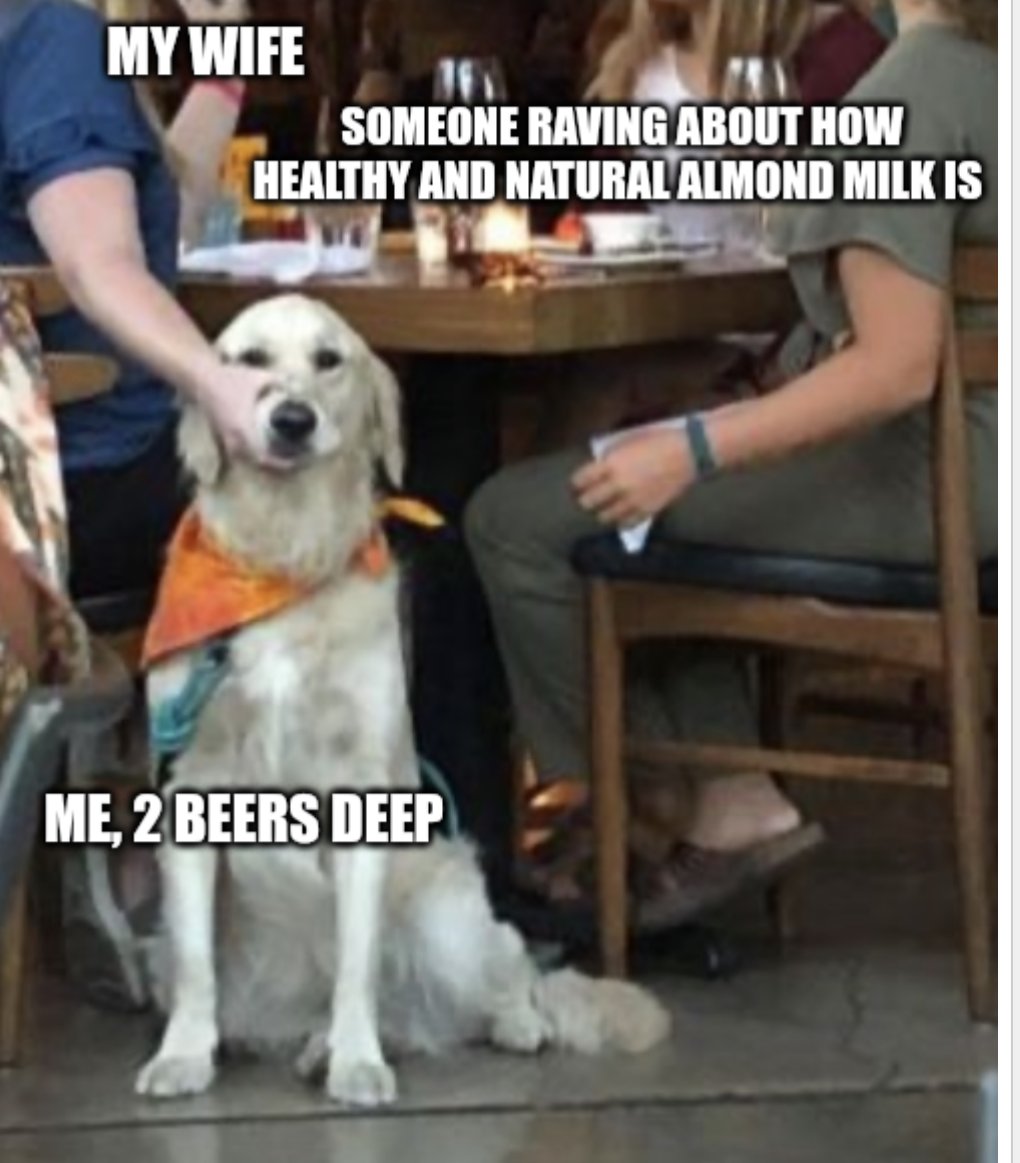 CowDoc🐮 tweet media