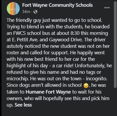 ABC21WPTA's tweet photo. Now that's not something you see every day! 

FWCS shared a post on Facebook saying this dog hopped on an FWCS school bus around 8:30 this morning at E. Pettit Ave. and Gaywood Dr. 

They say he has been taken to Humane Fort Wayne as they search for his owners. https://t.co/KxdTQKWjSt