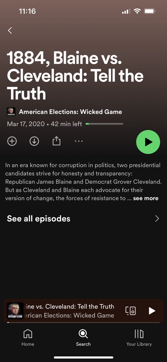 American Elections: Wicked Game tweet media
