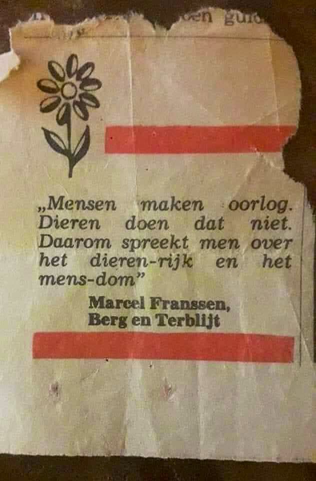 Karin Scholte -de Jonge tweet media