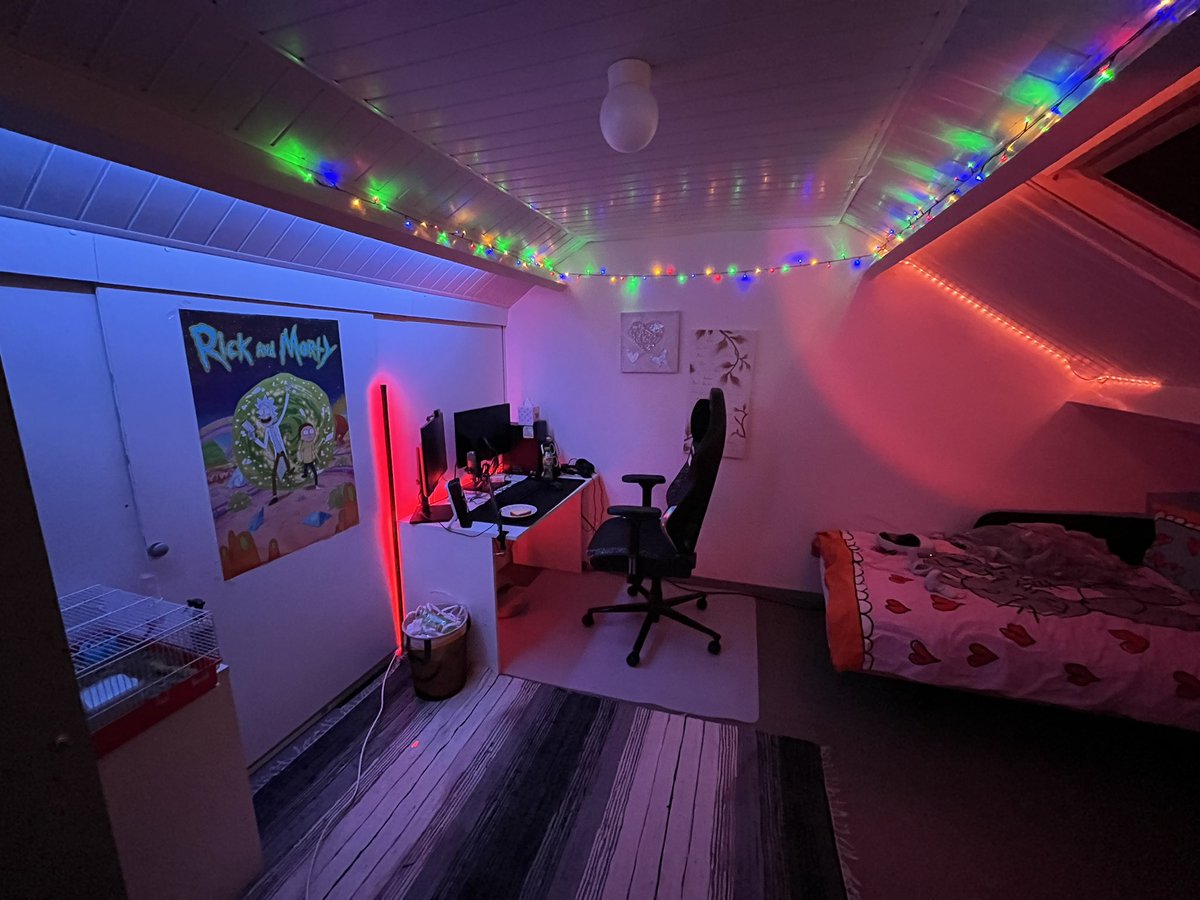 bean 🌺 tweet media