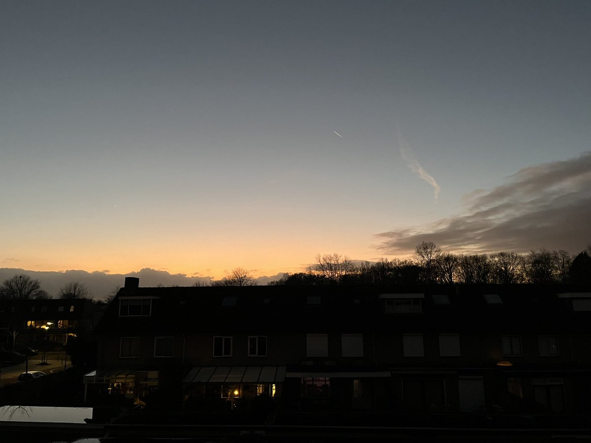 bean 🌺 tweet media