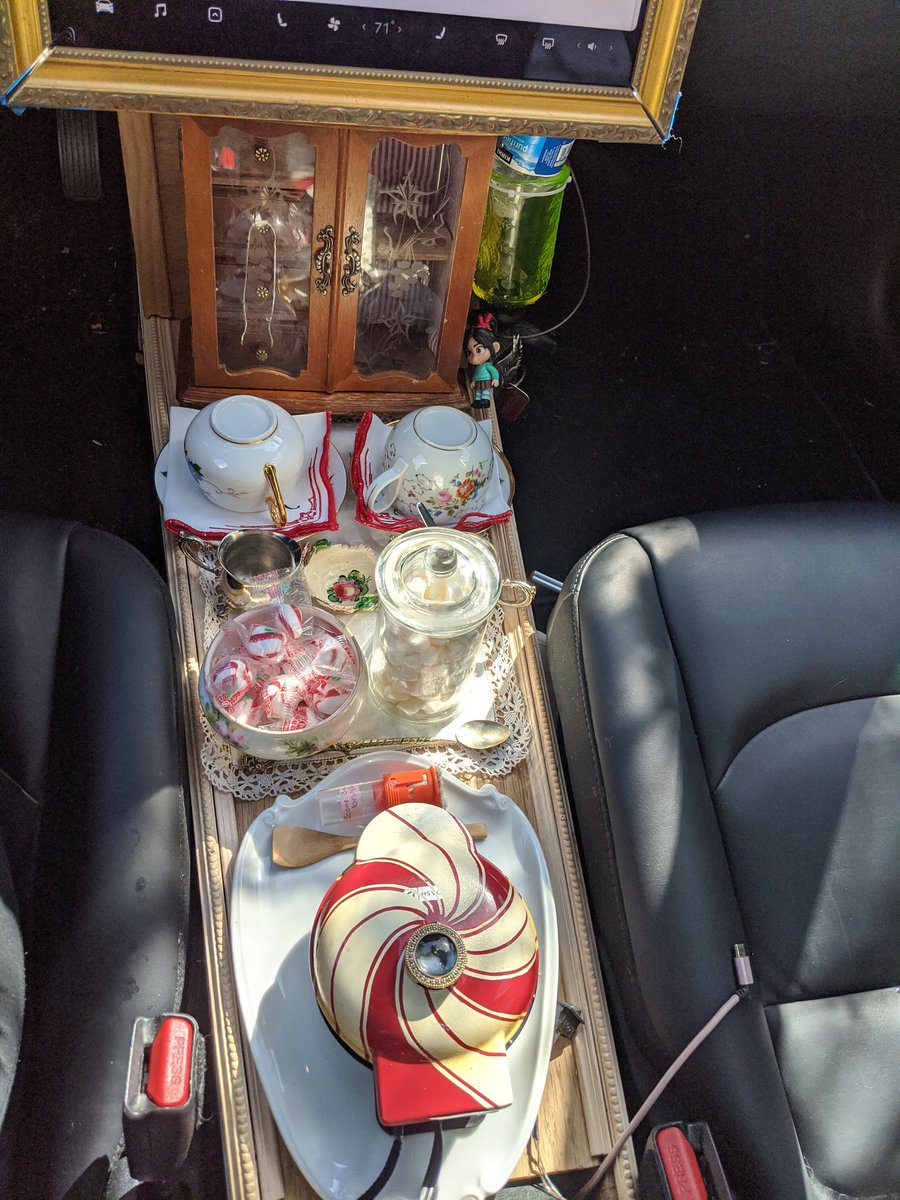 Peppermint Tesla tweet media