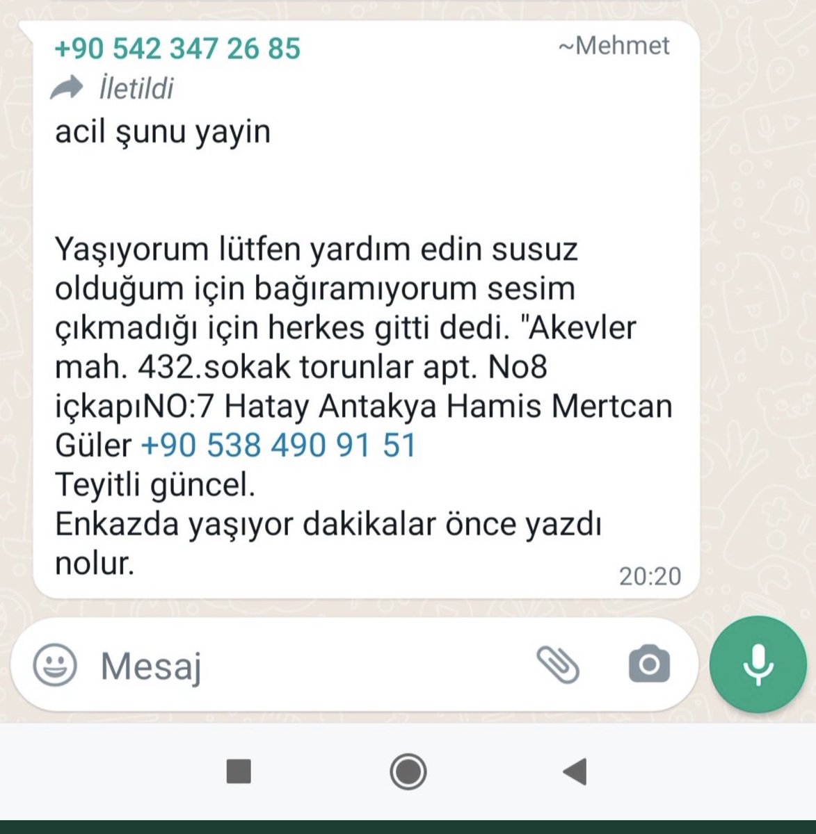 Teyitli bilgi