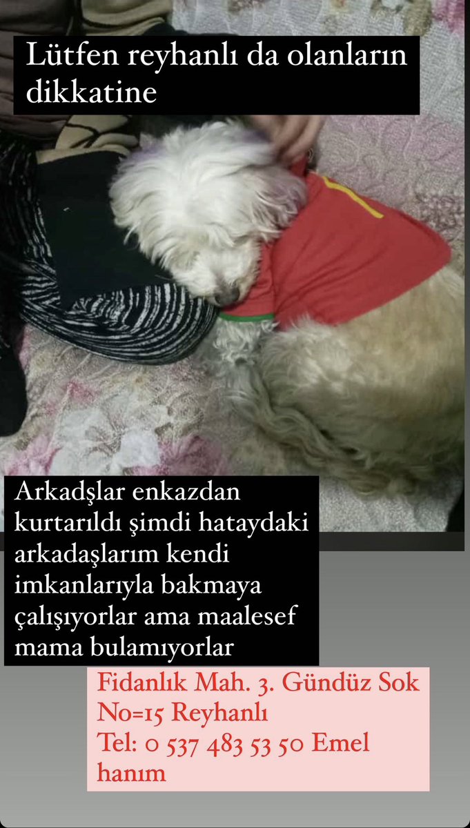 Reyhanlıda olanlar lütfen yardım🙏🏻
#depremsondakika #HelpTurkey #hatay