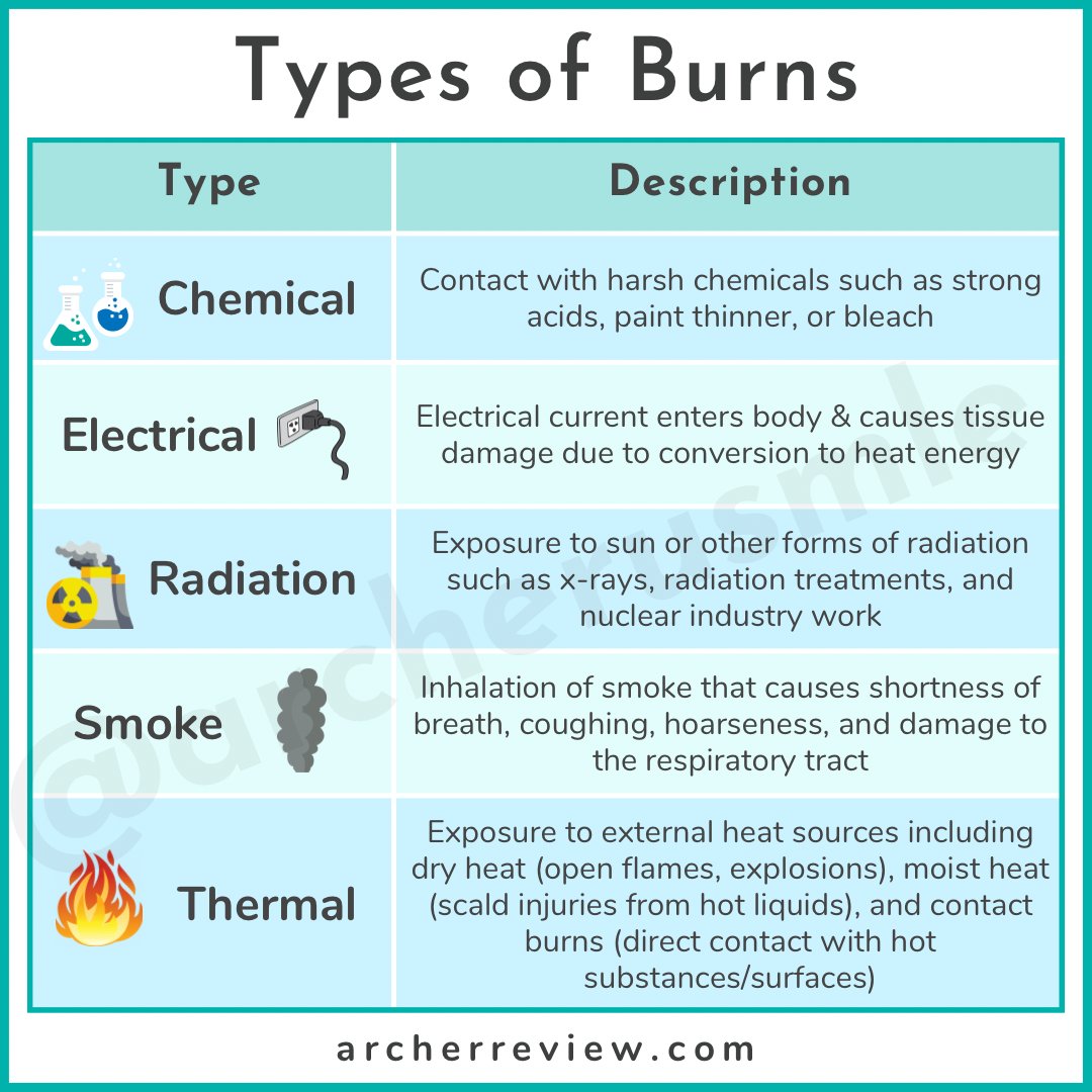 Archer USMLE Review tweet media