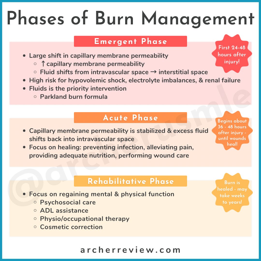 Archer USMLE Review tweet media