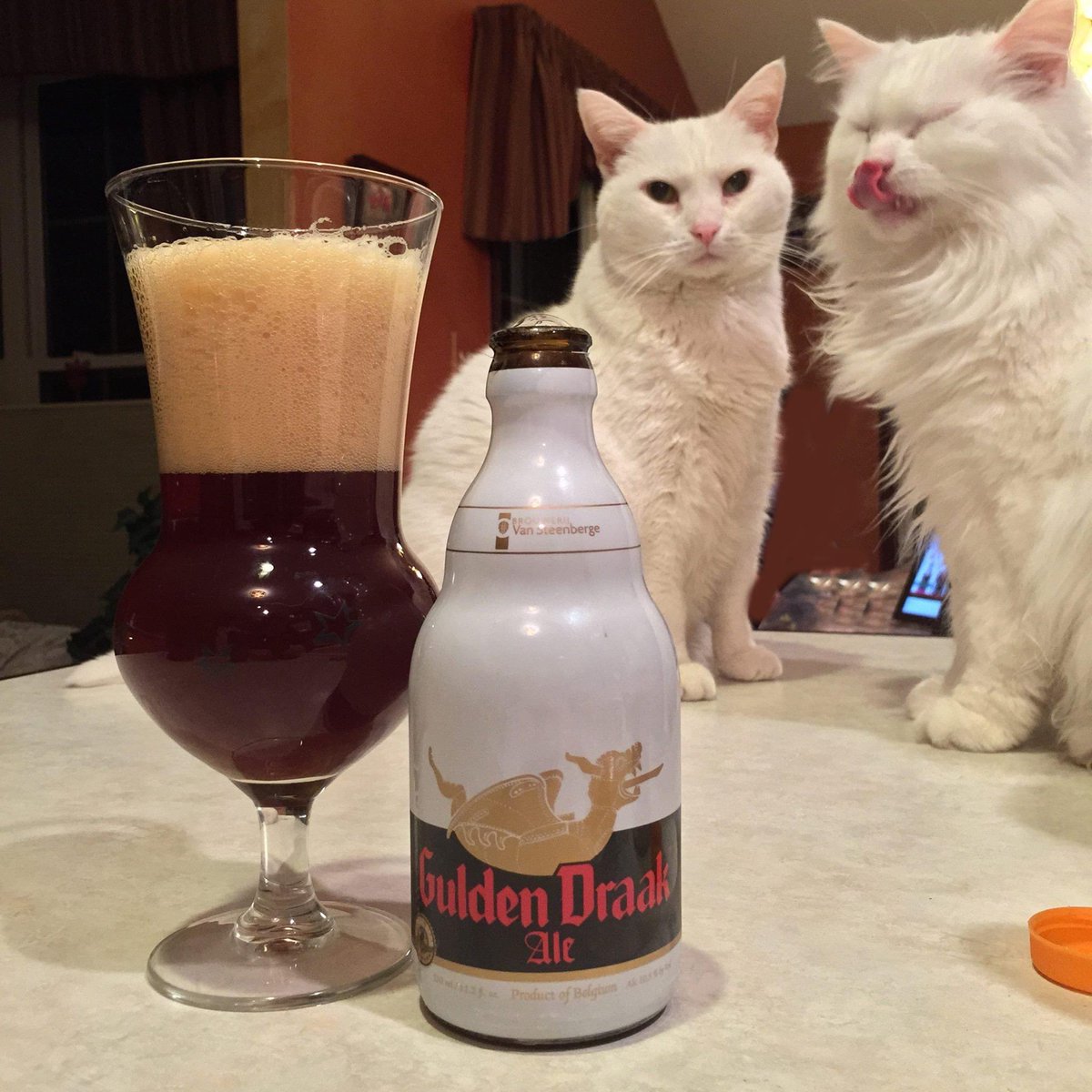 JimmRet's tweet photo. #ThisDayIn 2015
"Can you touch your nose with your tongue?", asks #ThePuff. "No more Gulden Draak for you", says #Sonya!
#beercat #craftbeer #CatsOfTwitter https://t.co/lIkLmRRu0P