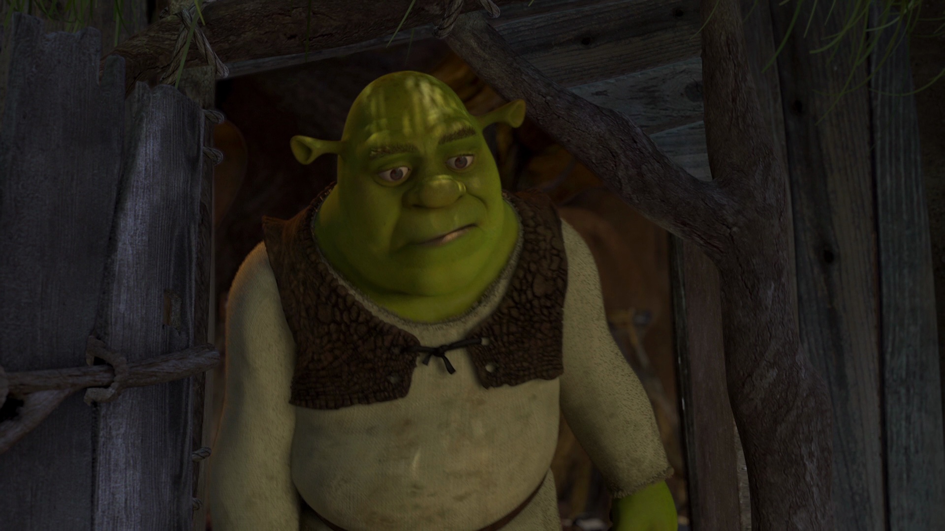 Shrek meme HD wallpaper