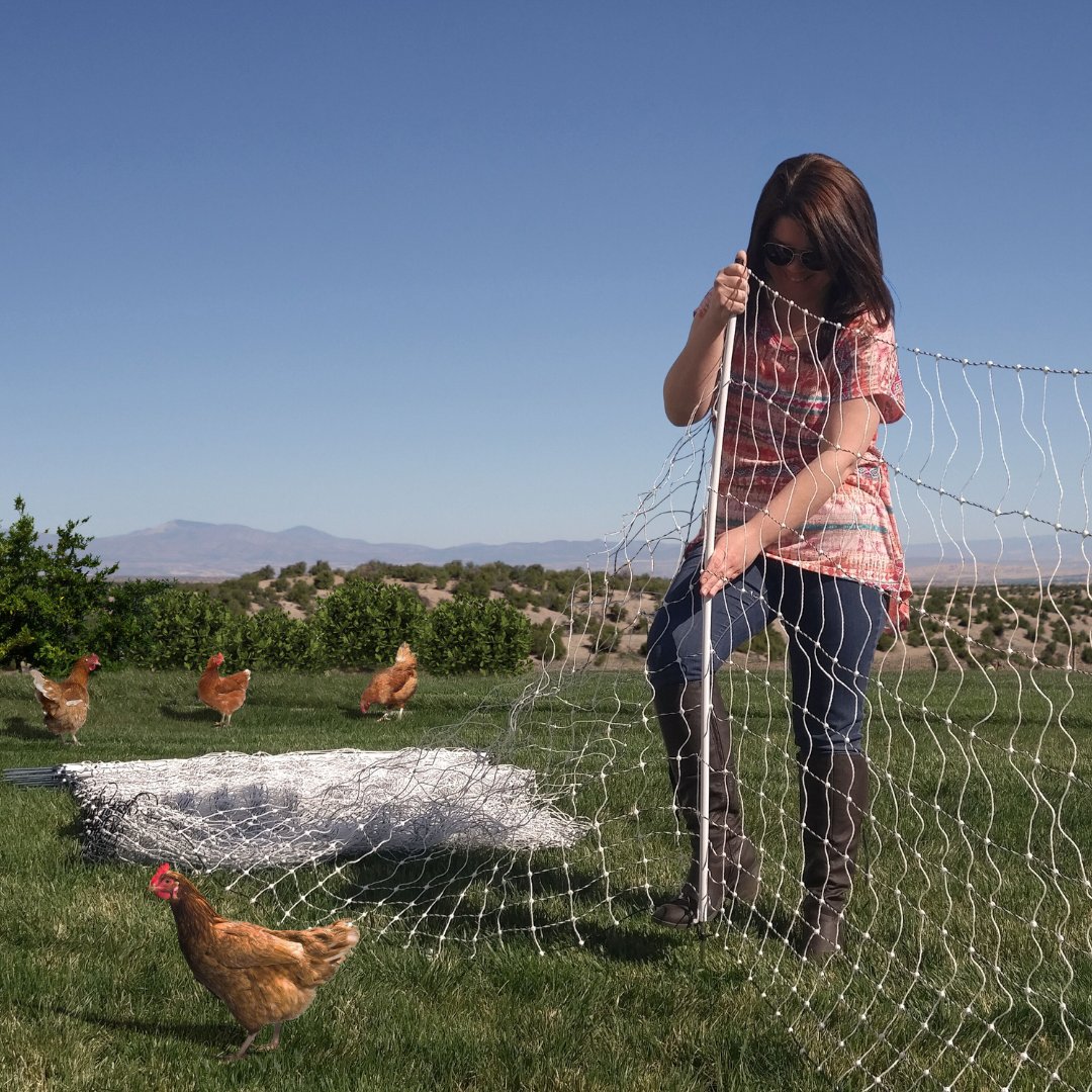 Are you ready for #Spring? This all-in-one 48” tall poultry net system is ideal if you need to move your poultry frequently. Just attach a Gallagher fence energizer, and you’re ready to keep #poultry in and their #predators out.