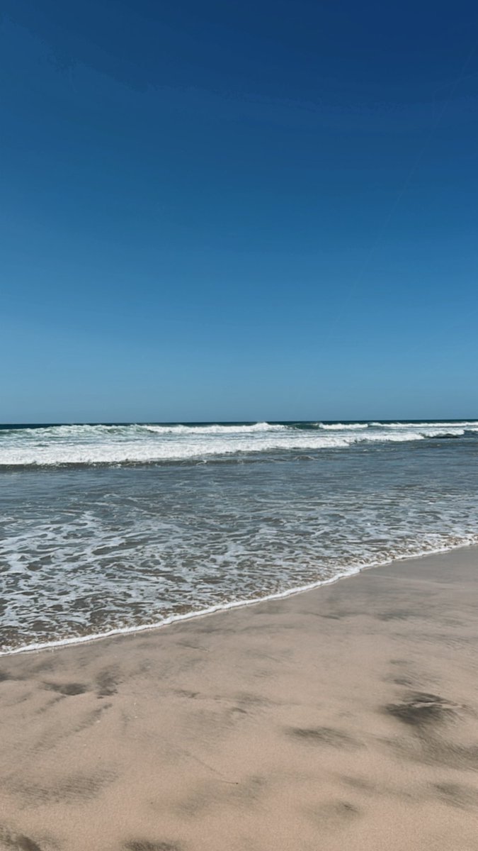SydneePea's tweet photo. Just beaching it https://t.co/Xq0gFUFqyv