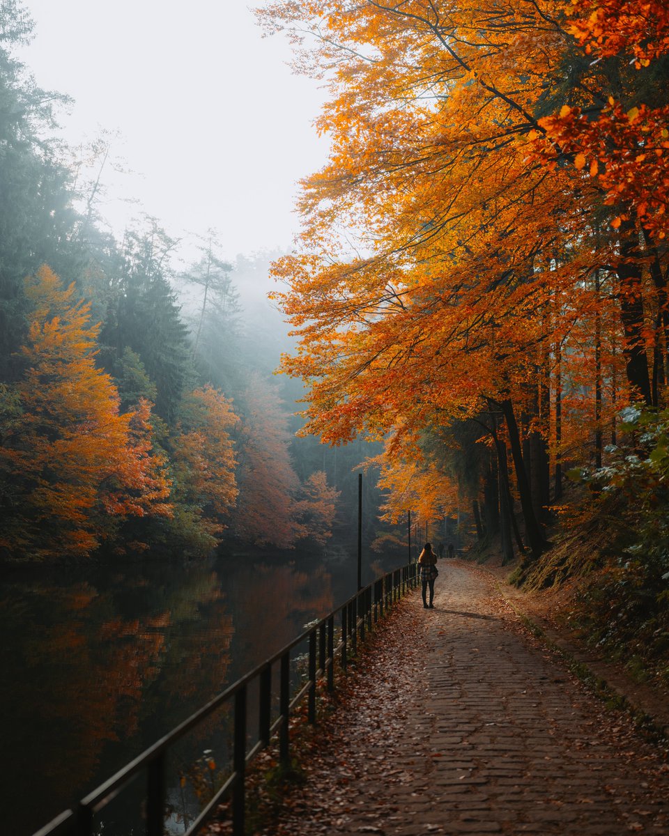 michaelboegl's tweet photo. Autumn throwback 🍂 https://t.co/oYiabUMXXV
