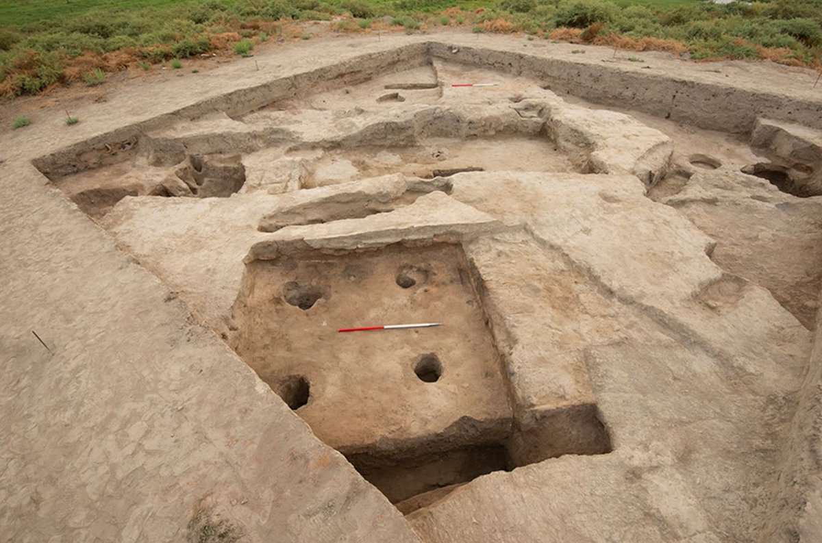 DS_tone's tweet photo. Delighted to publish my 1st paper based on my Ph.D. research...'The archaeobotany of Qaratepe, Azerbaijan 2nd–13th century'

Available at:
https://t.co/XKVxA8x57P

Thanks to all funders &amp; the AEB project for your support!

@ucdarchaeology @ucddublin @ucdsocscilaw
 @IrishResearch https://t.co/heNw1dnkUW