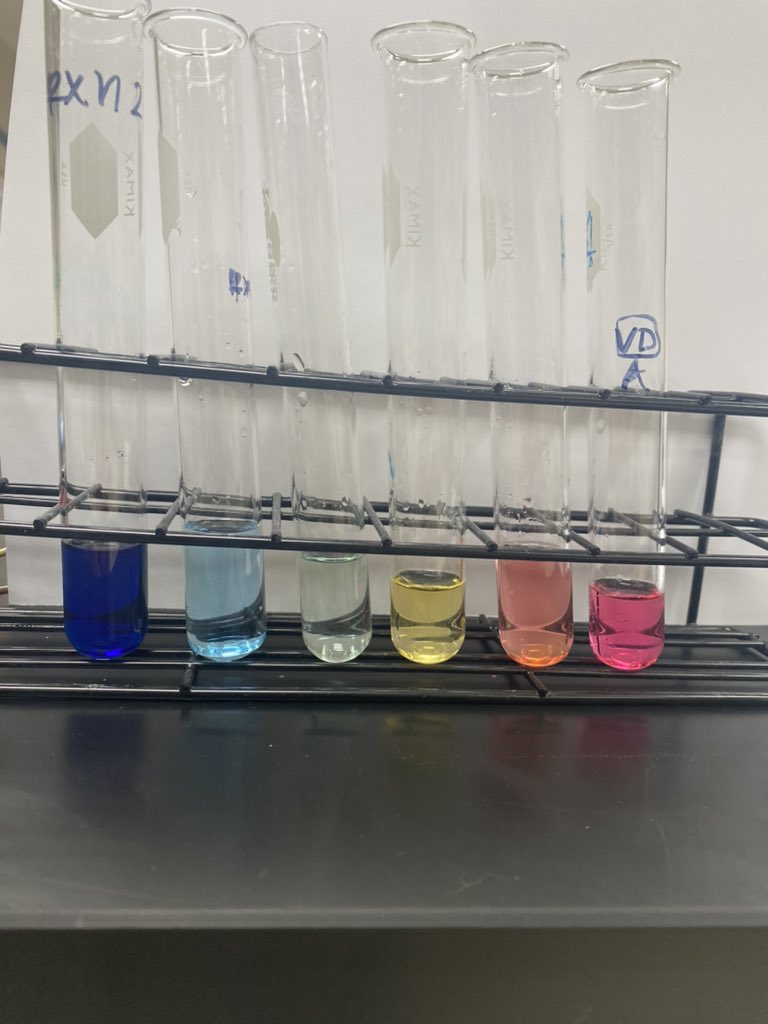 Jason_Walworth's tweet photo. By applying different stresses on a chemical reaction at equilibrium AP students got different colors and results. @bransonschools @BransonPirates https://t.co/eINt6VUHqZ