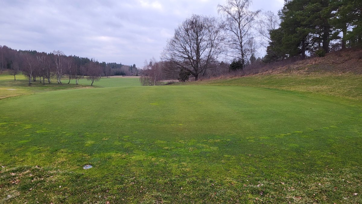 tankefternu's tweet image. Ser ju rätt okej ut!

#lindö #golfstar