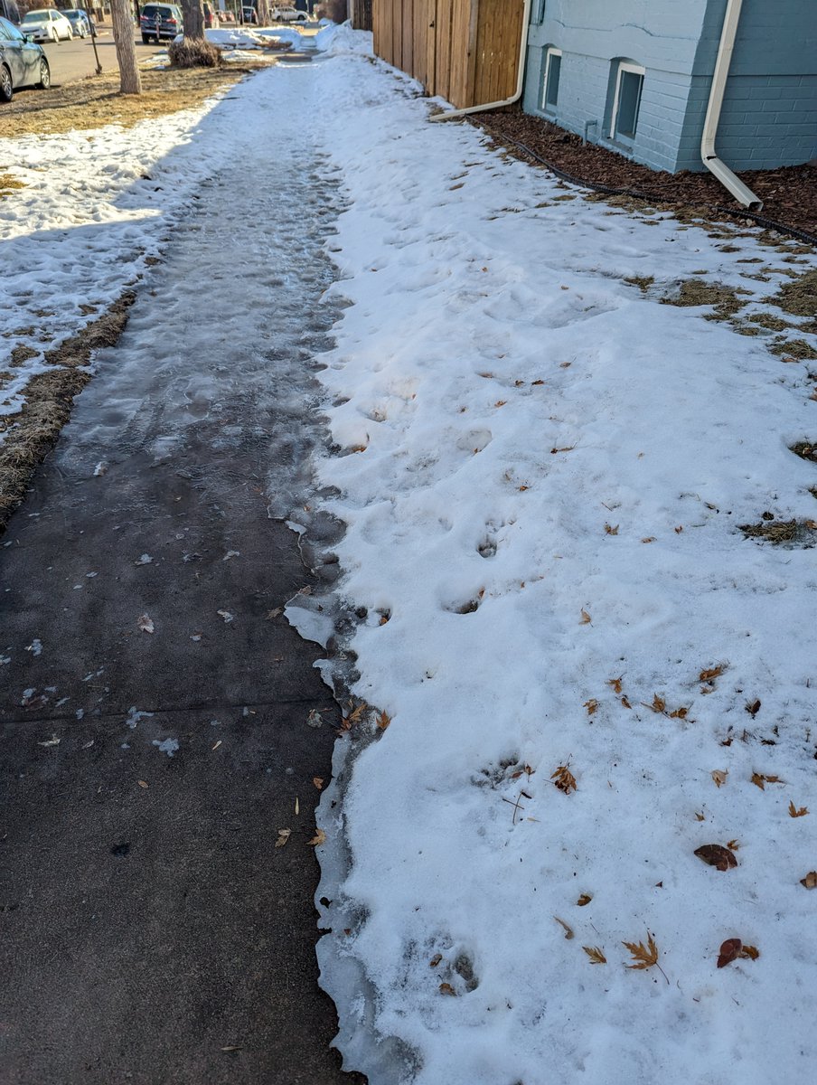 Bike Life of Bryan 🚲 tweet media