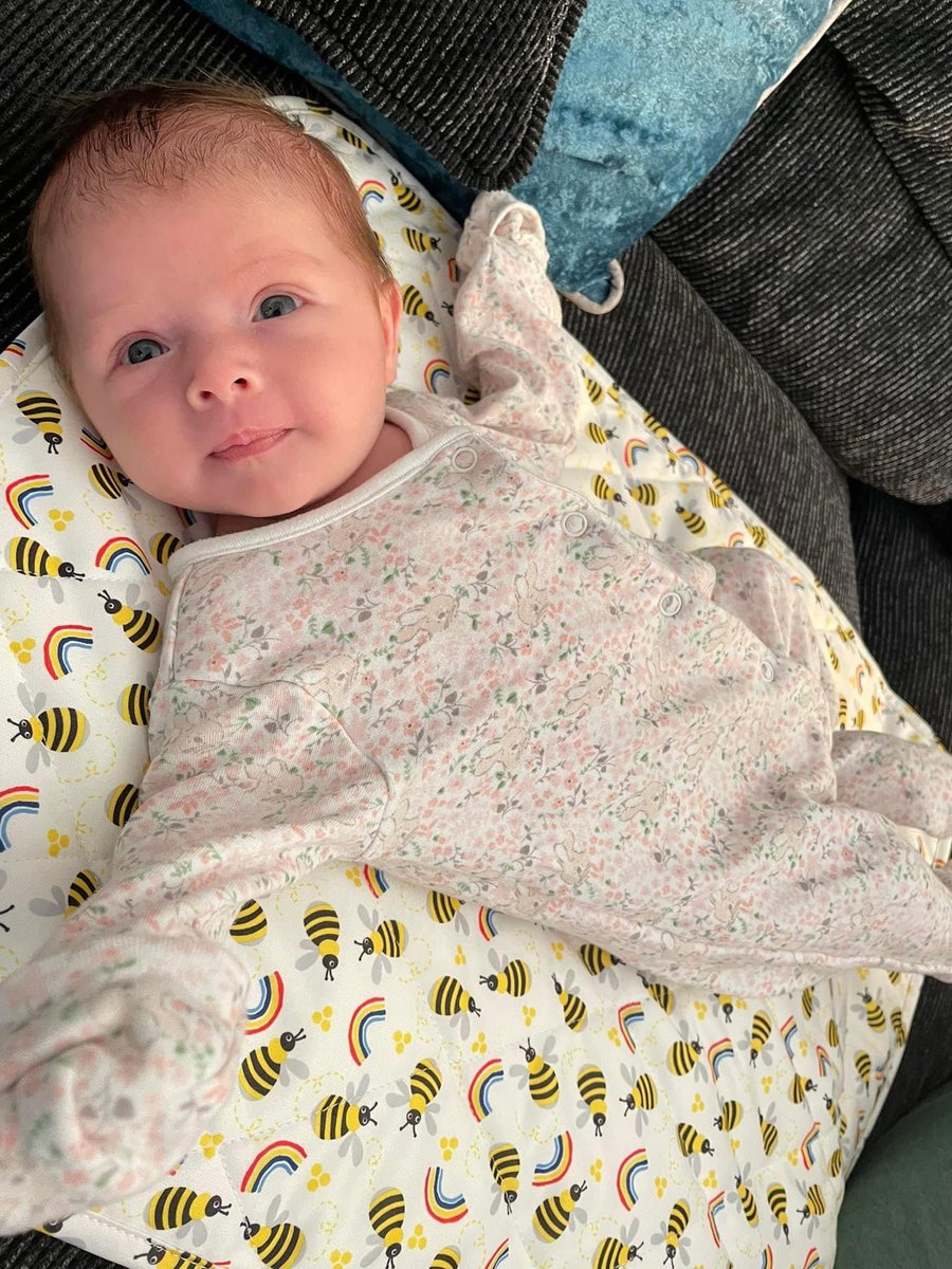 megzyyyyyy's tweet photo. Our bub was registered today, she’s officially a person 🥹 https://t.co/uiOD5mjK4S