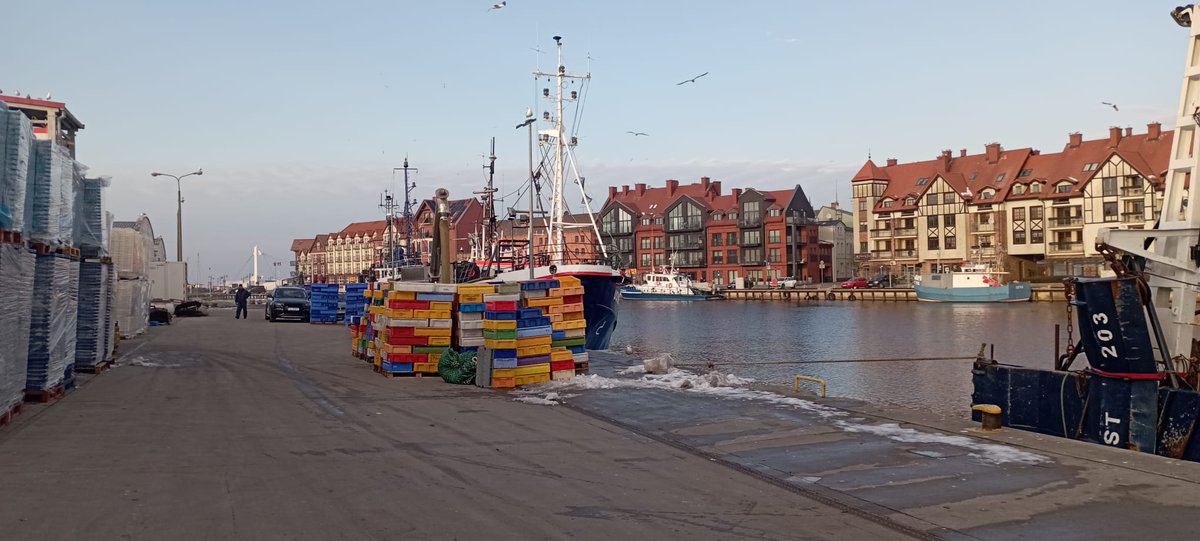 Chemior1's tweet photo. Some photos from the last activities. This time we are using Platichthys flesus as a model organism #Instytutoceanologiipan #fish  #oceanacidification #udn #Passion #flounder #Baltic  #gdanskbay #ustka #Science #Poland #CO2 #co2system #climate https://t.co/i0RKOYy7ne