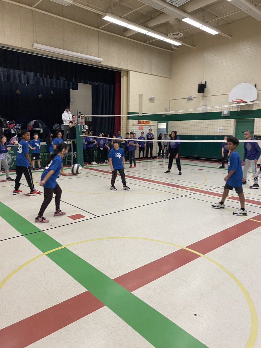 Shelter Bay Phys.ed tweet media