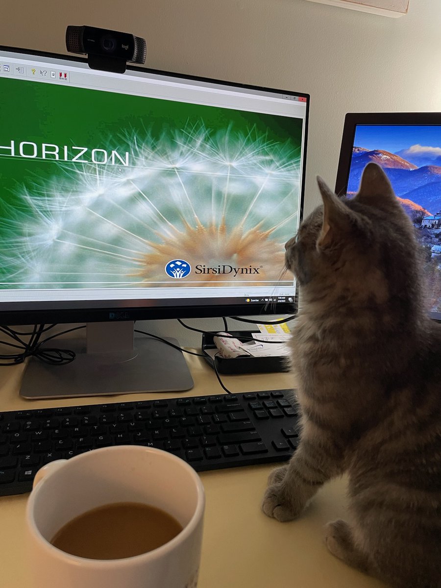 michaelcosm's tweet photo. @SirsiDynix I think this is the birth of a new hashtag #HorizonKitty https://t.co/CVMIRSKyOg