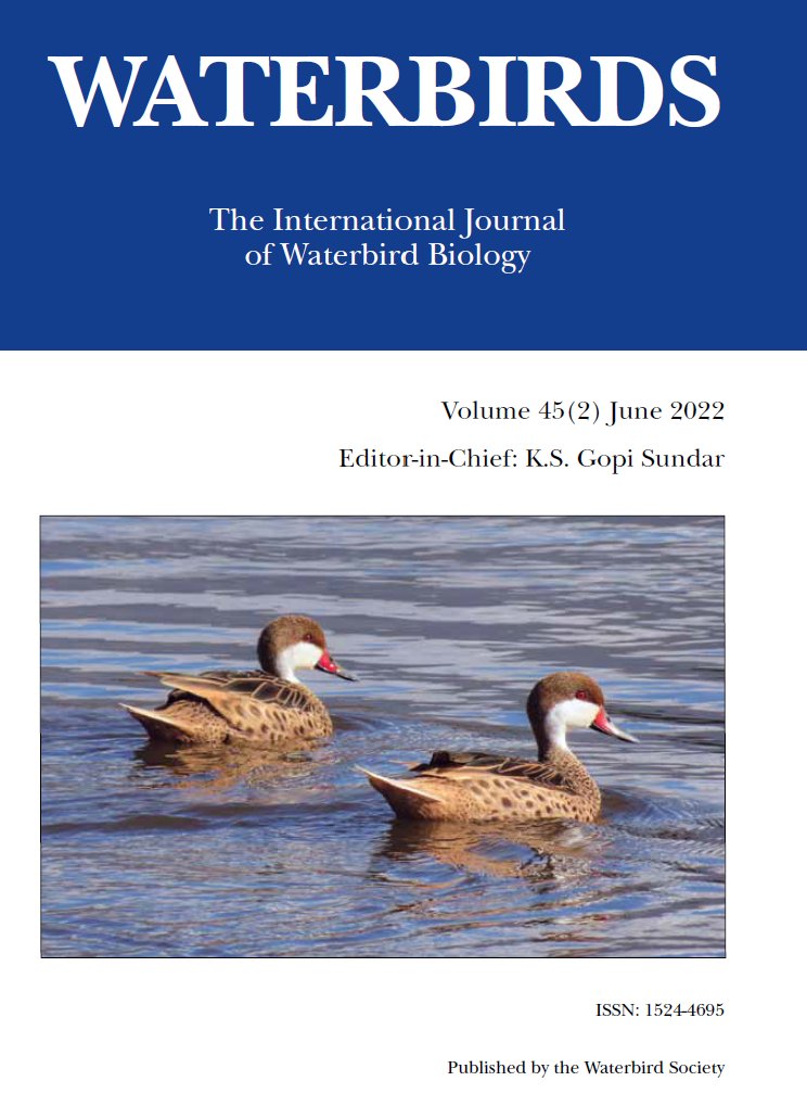 WaterbirdsJourn's tweet photo. Happy to announce that our issue 45(2) is now available online! https://t.co/3KitOgp447 https://t.co/d9ur2P8OLR