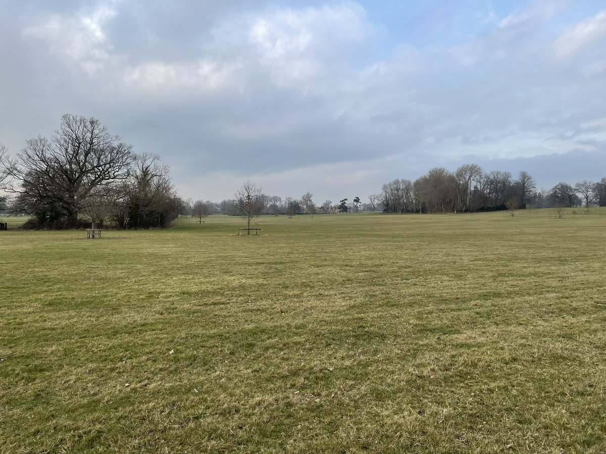 The loop around rural <a href="/Godinton/">Godinton House</a> Park was much better: 5 species of Thrush, Green &amp; Chaffinches, 2 sp of Woodpecker, Stock Dove, Jay, Sparrowhawk, 2 more Snipe &amp; the star birds… 4 Siskins (1 cracking male), a fantastic Little Owl &amp; a squeaking Water Rail along the <a href="/KentishStourCP/">Kentish Stour CP</a>