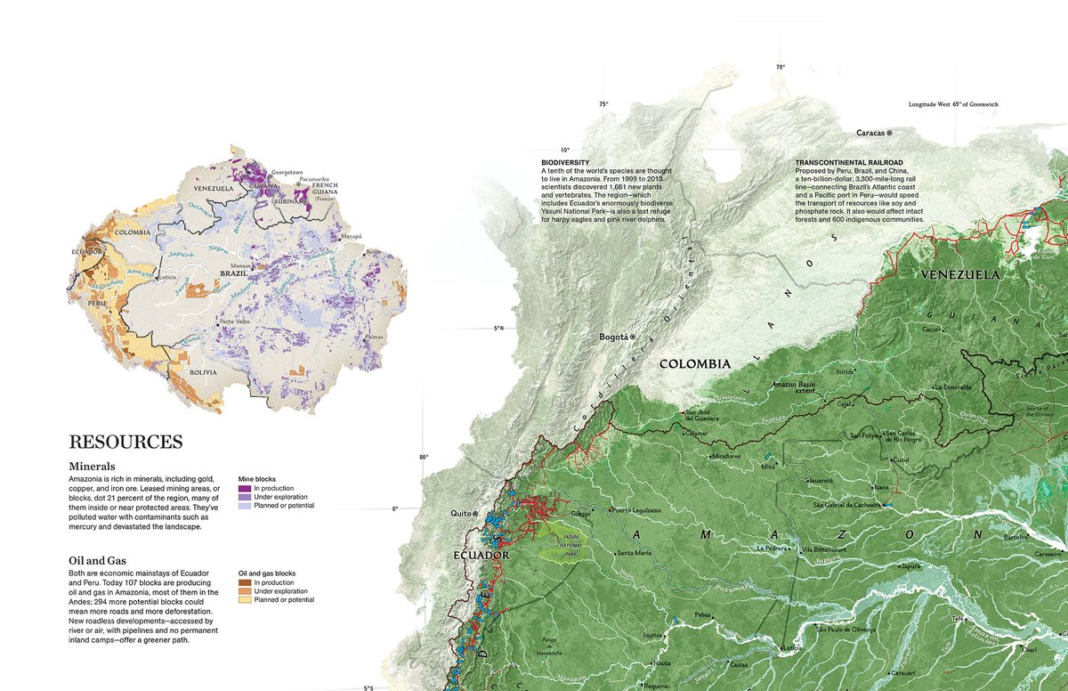 NatGeoMaps's tweet photo. This map was published in the Nov 2015 issue of @NatGeoMag. The “Heart of the Planet,” the Amazon Basin is home to over 40 million people and over 3 million species. Learn about @InsideNatGeo's efforts to protect the Amazon. https://t.co/G9ZYfbb0ff #amazonia #map #conservation https://t.co/j4656Z4FC7