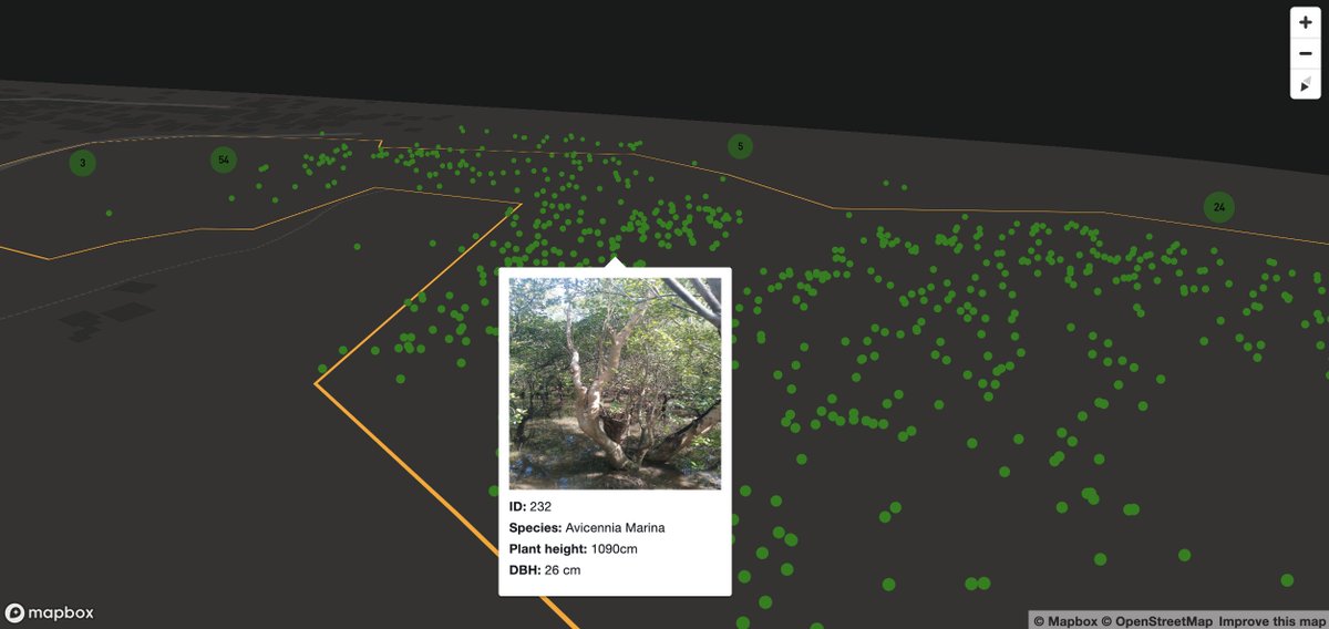 GainForestNow's tweet photo. You already saw the #ForestMap, which was only possible to @thinkdatasci, a Manila-based company focused on data science and has already trained and improved existing tree segmentation models. https://t.co/J0LH6h6Gdd