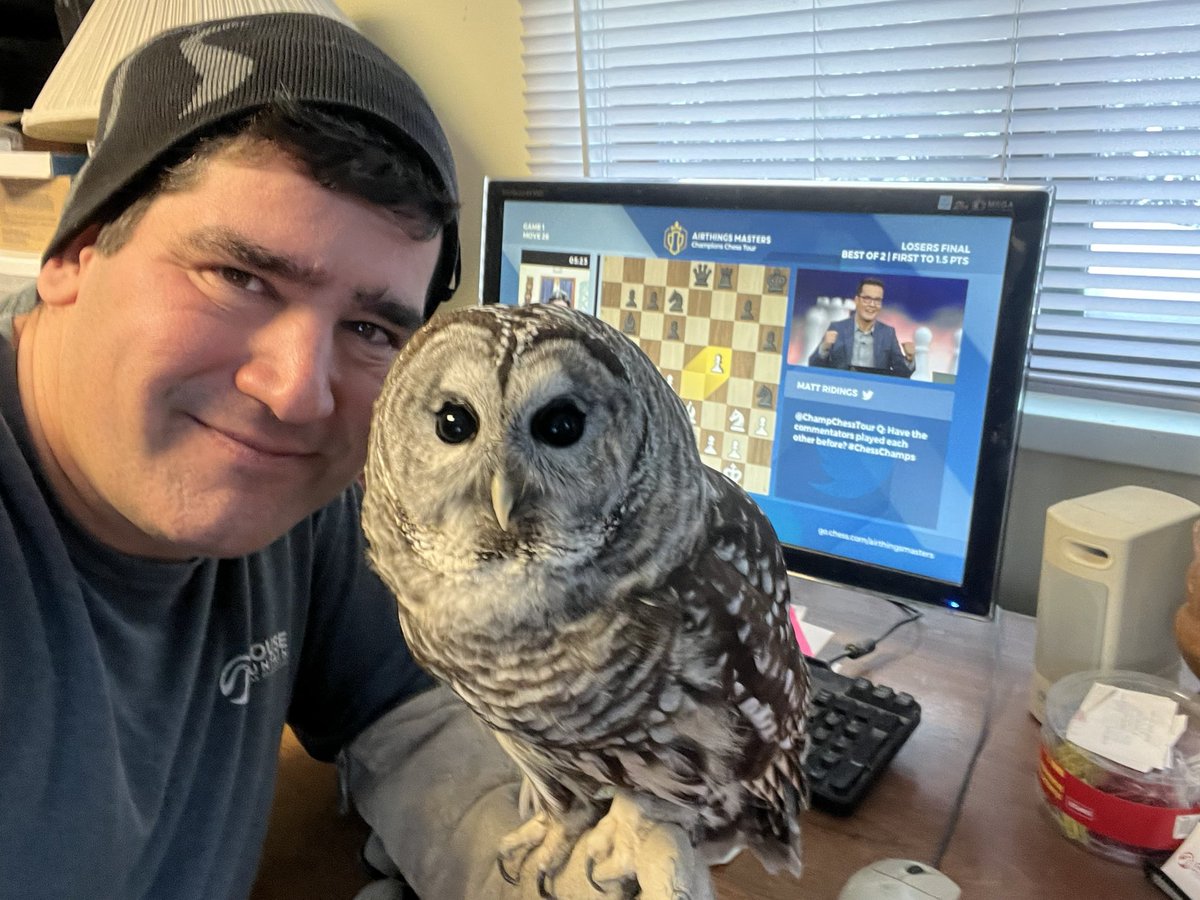 Another day teaching owls about chess watching ChessChamps - Clean air is also vital for owls! Would love to win an airthings monitor . #AirThings #ChessChamps #airthingsmasters #wesleyso #HIKARU #himarunakamura