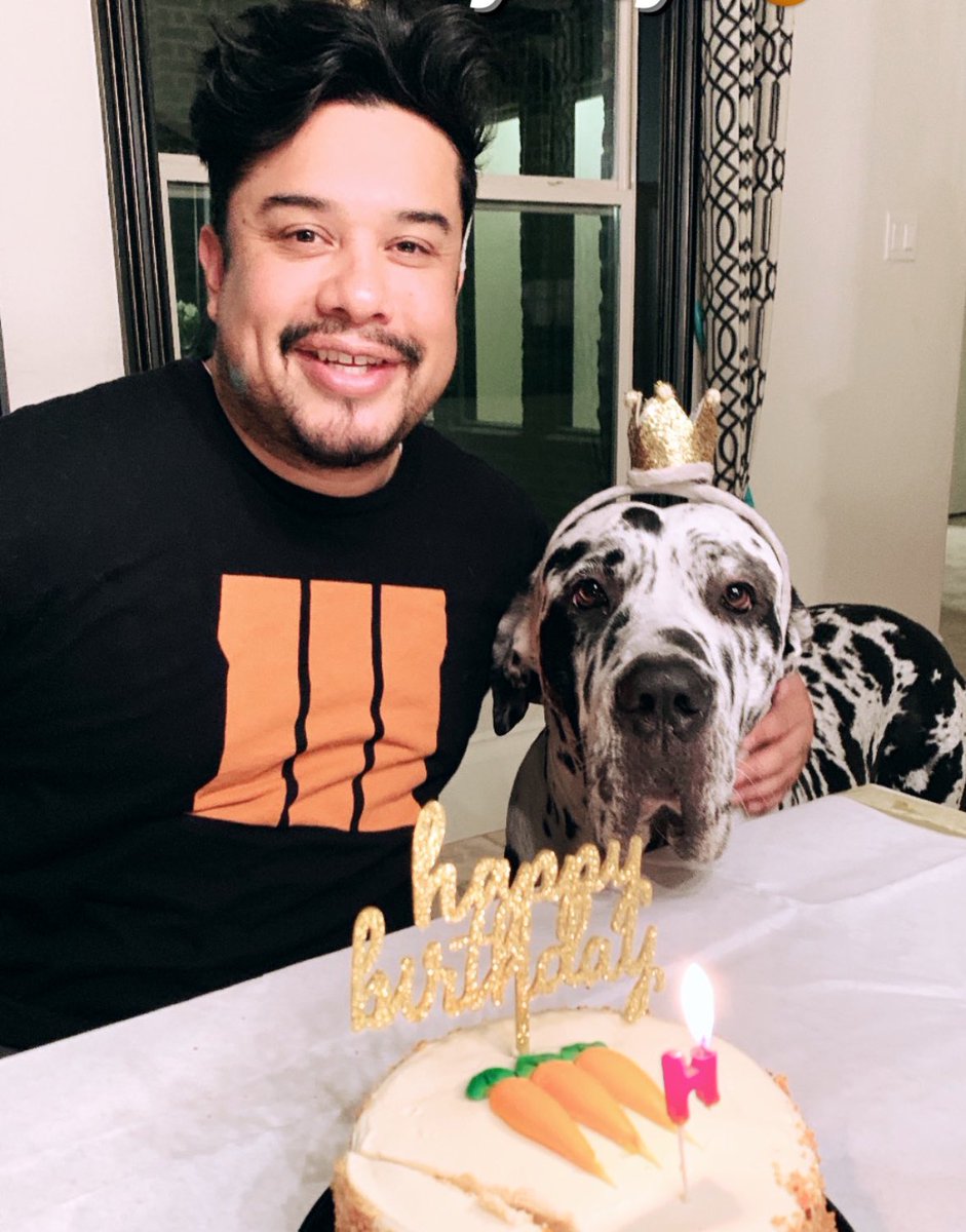 jude 🐶🐾💚 tweet media