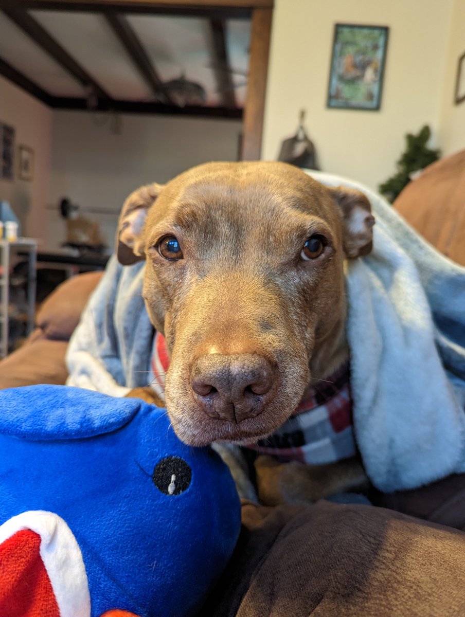 Kristina 🎉 tweet media